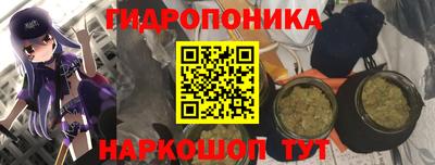 гашик Гусиноозёрск