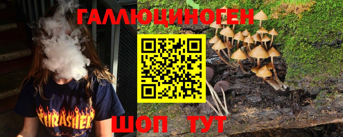 Дятьково  Галлюциногенные грибы ЛСД  закладка  Вход с VPN 