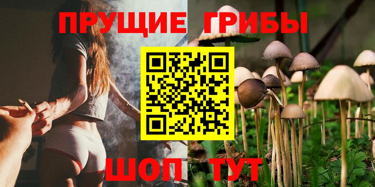Псилоцибиновые грибы Psilocybine cubensis Дятьково